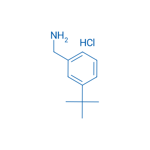 (3-(tert-Butyl)phenyl)methanamine hydrochloride 100mg