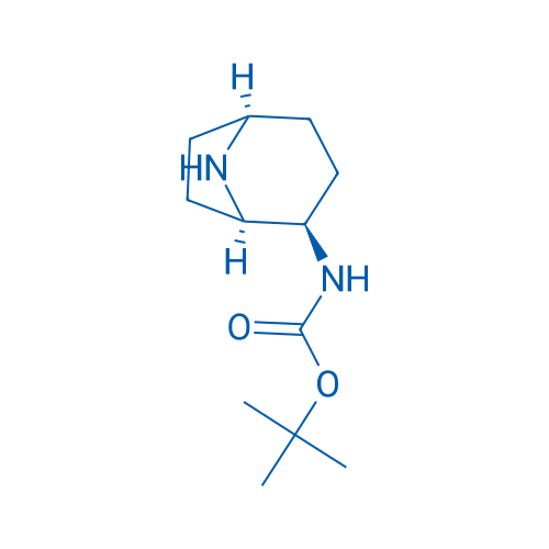 endo-2-(Boc-amino)-8-azabicyclo[3.2.1]octane 1g