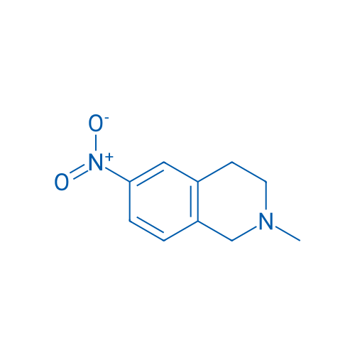 2-Methyl-6-nitro-1,2,3,4-tetrahydroisoquinoline 250mg