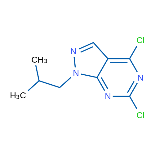4,6-Dichloro-1-isobutyl-1H-pyrazolo[3,4-d]pyrimidine 1g