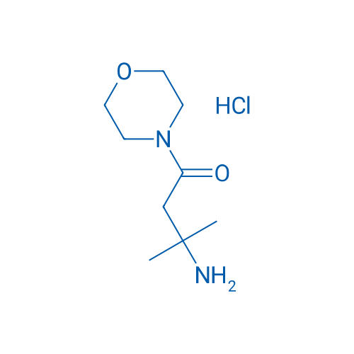3-Amino-3-methyl-1-morpholinobutan-1-one hydrochloride 1g
