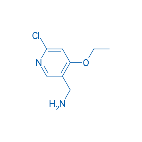 (6-Chloro-4-ethoxypyridin-3-yl)methanamine 1g