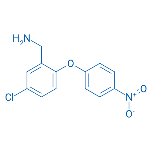 (5-Chloro-2-(4-nitrophenoxy)phenyl)methanamine 1g