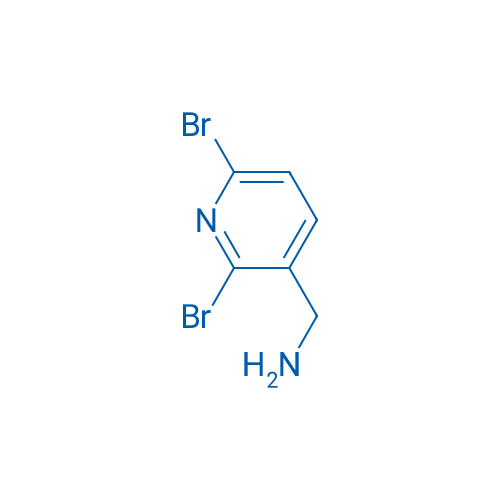 (2,6-Dibromopyridin-3-yl)methanamine 1g