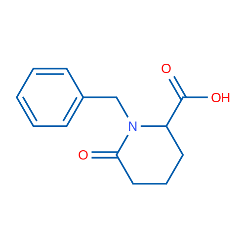 1-Benzyl-6-oxopiperidine-2-carboxylic acid 1g