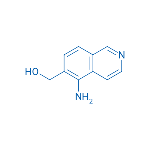 (5-Aminoisoquinolin-6-yl)methanol 1g