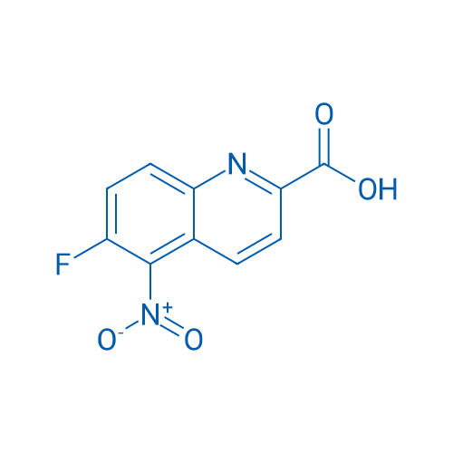6-Fluoro-5-nitroquinoline-2-carboxylic acid 1g