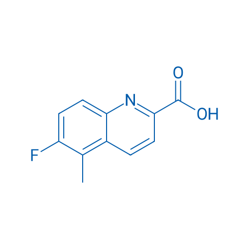 6-Fluoro-5-methylquinoline-2-carboxylic acid 1g