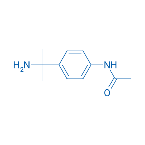 N-[4-(2-aminopropan-2-yl)phenyl]acetamide 1g