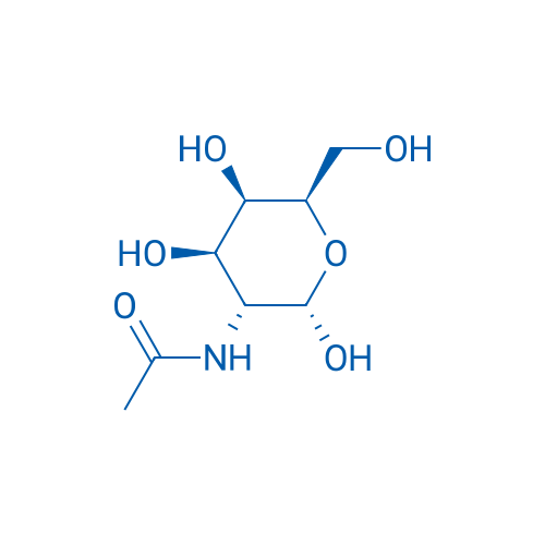 N-Acetyl-D-galactosamine 5g