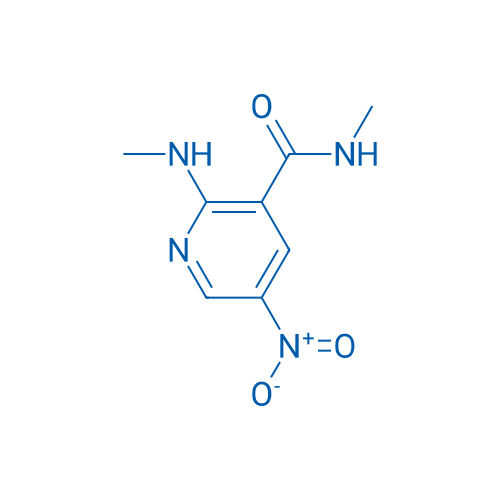 N-Methyl-2-(methylamino)-5-nitronicotinamide 1g
