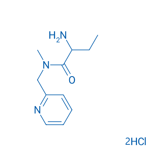 2-Amino-N-methyl-N-(pyridin-2-ylmethyl)butanamide dihydrochloride 10g