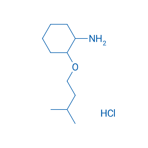 2-(3-Methylbutoxy)cyclohexan-1-amine hydrochloride 250mg