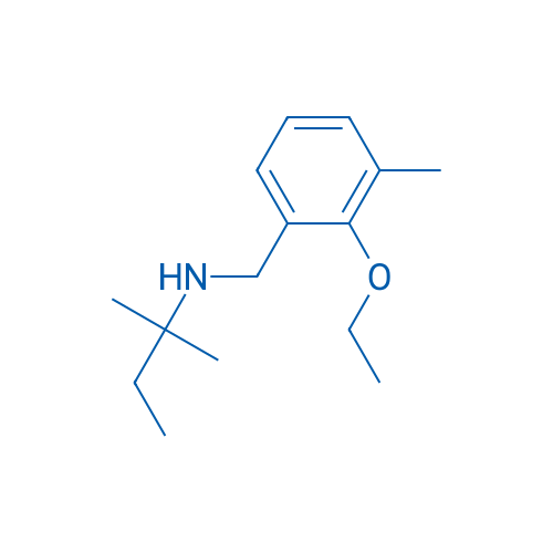 N-(2-Ethoxy-3-methylbenzyl)-2-methylbutan-2-amine 1g