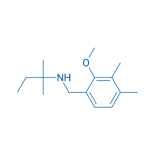 N-(2-Methoxy-3,4-dimethylbenzyl)-2-methylbutan-2-amine 1g