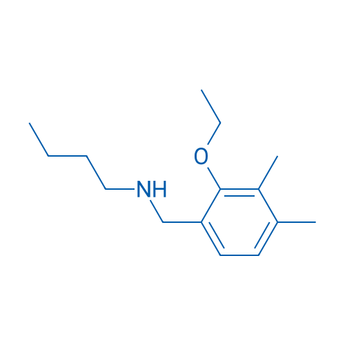 N-(2-Ethoxy-3,4-dimethylbenzyl)butan-1-amine 1g