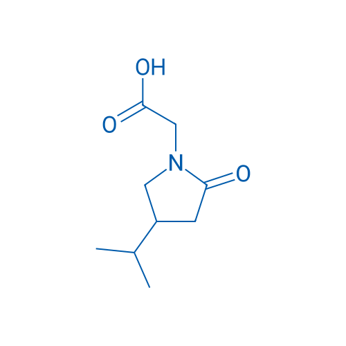 2-(4-Isopropyl-2-oxopyrrolidin-1-yl)acetic acid 250mg