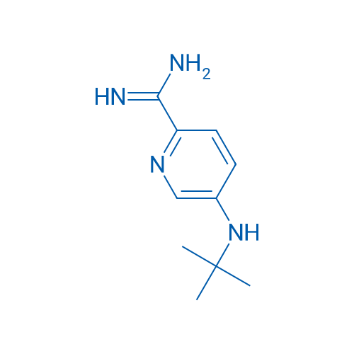 5-(tert-Butylamino)pyridine-2-carboximidamide 1g