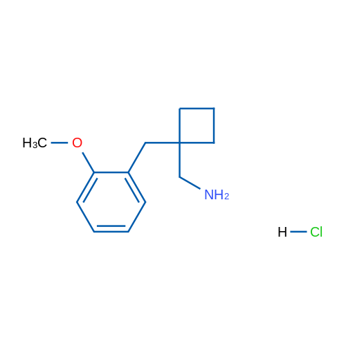 (1-(2-Methoxybenzyl)cyclobutyl)methanamine hydrochloride 1g