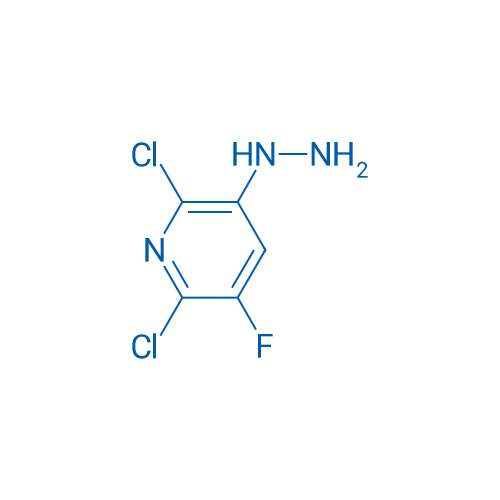 2,6-Dichloro-3-fluoro-5-hydrazinylpyridine 1g