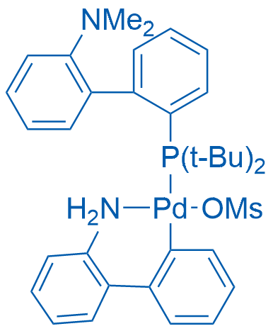 t-BuDavePhos Pd G3 1g