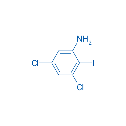 3,5-Dichloro-2-iodoaniline 1g