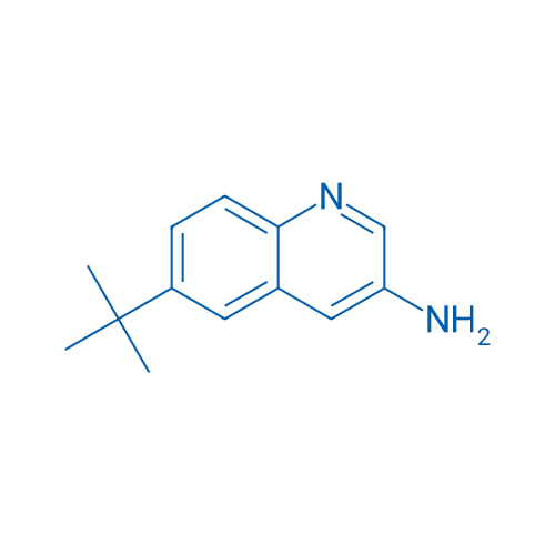 6-tert-Butylquinolin-3-amine 1g