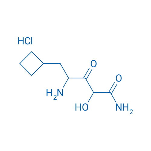 4-Amino-5-cyclobutyl-2-hydroxy-3-oxopentanamide hydrochloride 1g