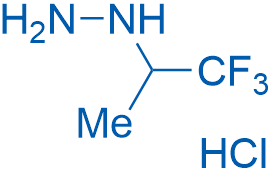 (1,1,1-Trifluoropropan-2-yl)hydrazine hydrochloride 5g