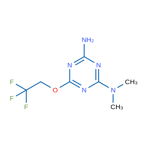 N2,N2-Dimethyl-6-(2,2,2-trifluoroethoxy)-1,3,5-triazine-2,4-diamine 1g