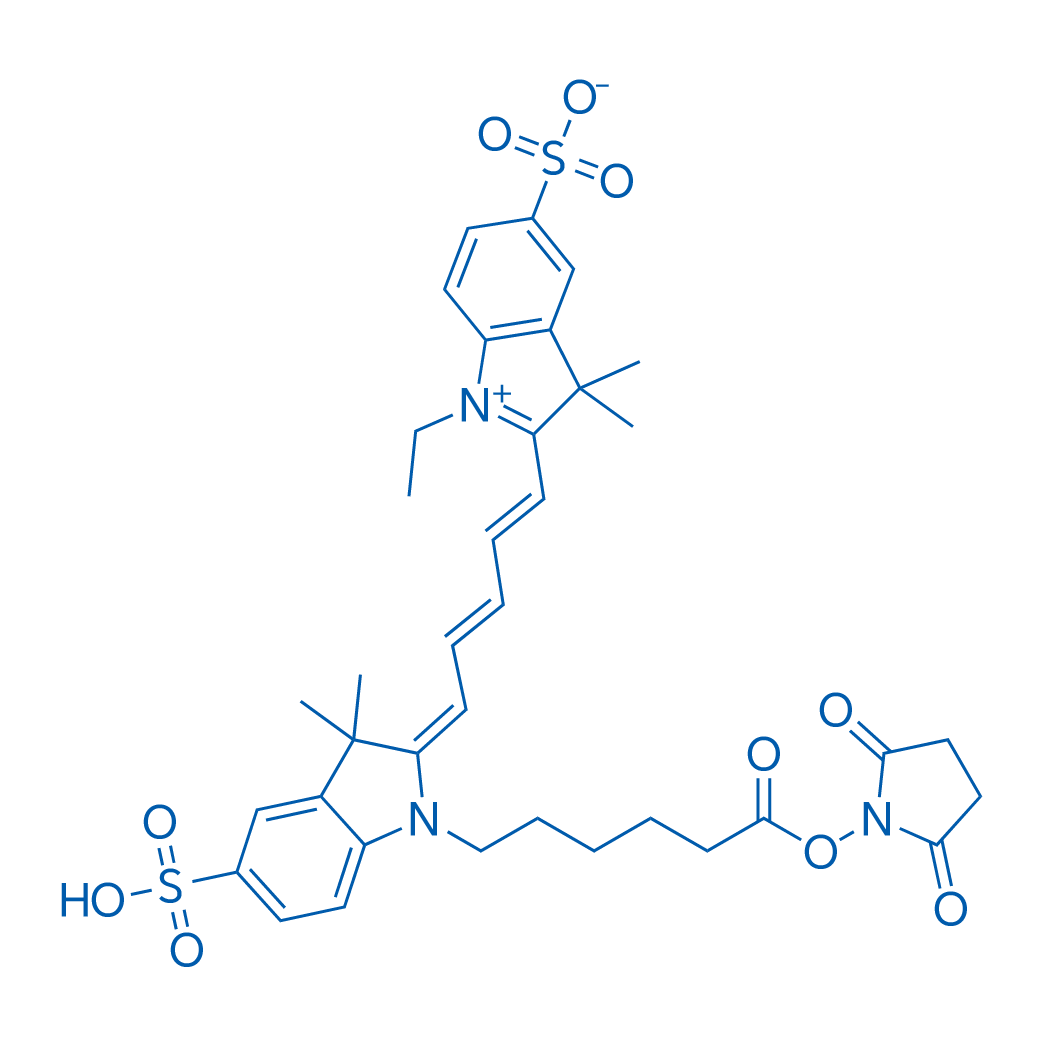 CY5-SE 25mg