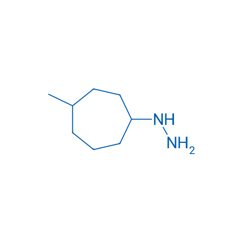 (4-Methylcycloheptyl)hydrazine 1g