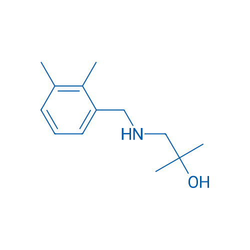 1-{[(2,3-dimethylphenyl)methyl]amino}-2-methylpropan-2-ol 1g