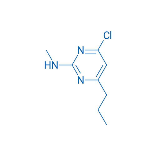 4-Chloro-N-methyl-6-propylpyrimidin-2-amine 1g