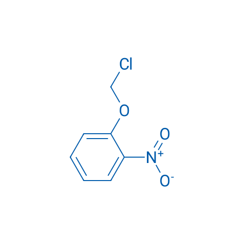 1-(Chloromethoxy)-2-nitrobenzene 1g