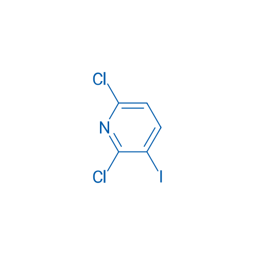 2,6-Dichloro-3-iodopyridine 10g