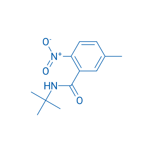 N-tert-Butyl-5-methyl-2-nitrobenzamide 1g