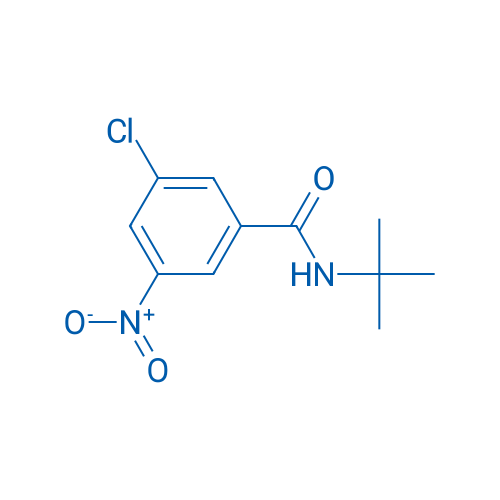 N-tert-Butyl-3-chloro-5-nitrobenzamide 5g