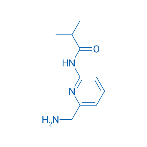 N-[6-(aminomethyl)pyridin-2-yl]-2-methylpropanamide 1g
