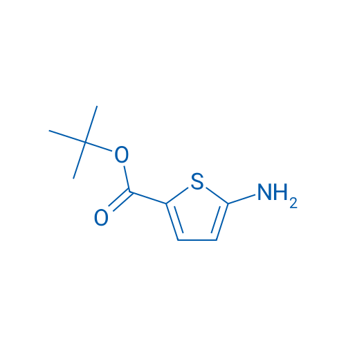 tert-Butyl 5-aminothiophene-2-carboxylate 1g