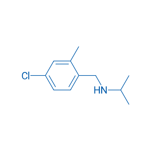 N-(4-Chloro-2-methylbenzyl)propan-2-amine 1g