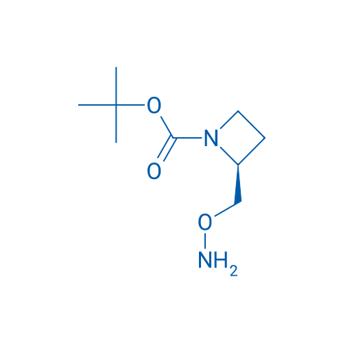 tert-butyl (2S)-2-[(aminooxy)methyl]azetidine-1-carboxylate 1g