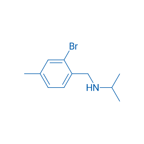 [(2-Bromo-4-methylphenyl)methyl](propan-2-yl)amine 1g