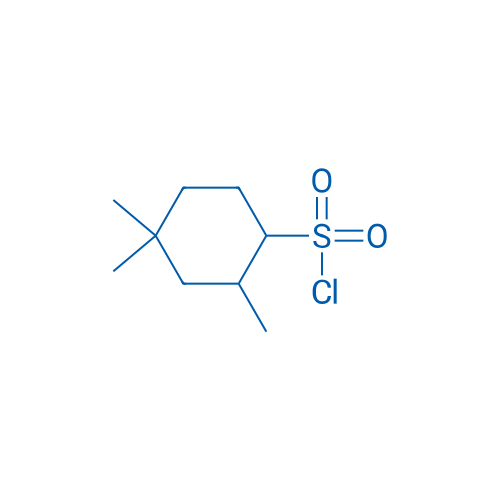 2,4,4-Trimethylcyclohexane-1-sulfonyl chloride 1g