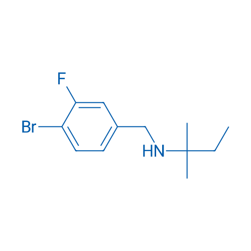 [(4-Bromo-3-fluorophenyl)methyl](2-methylbutan-2-yl)amine 1g