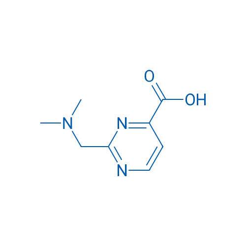 2-[(Dimethylamino)methyl]pyrimidine-4-carboxylic acid 1g