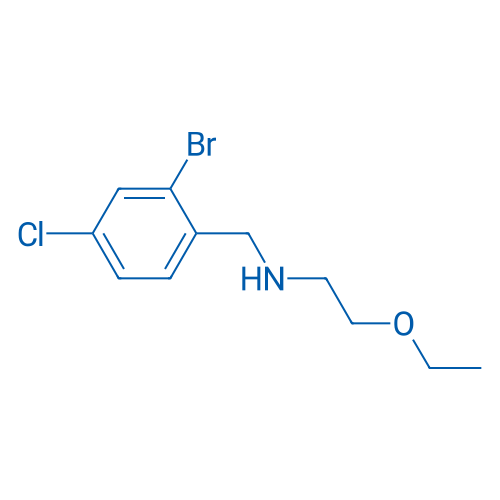 [(2-Bromo-4-chlorophenyl)methyl](2-ethoxyethyl)amine 1g