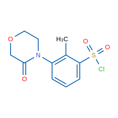 2-Methyl-3-(3-oxomorpholino)benzene-1-sulfonyl chloride 1g
