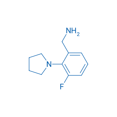 (3-Fluoro-2-(pyrrolidin-1-yl)phenyl)methanamine 1g