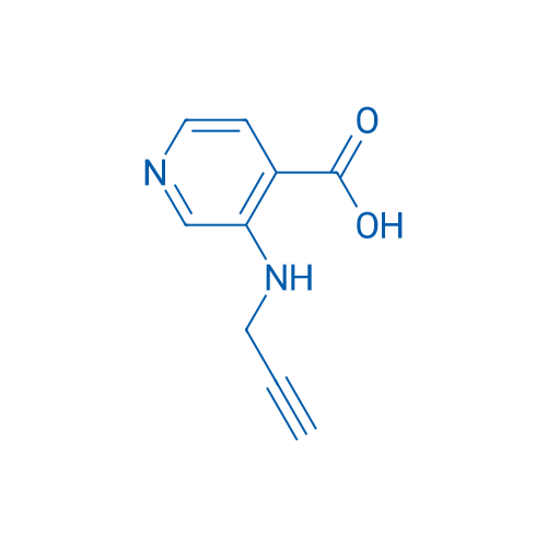 3-[(Prop-2-yn-1-yl)amino]pyridine-4-carboxylic acid 1g